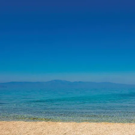 Apartament Pet Friendly In Zidarici