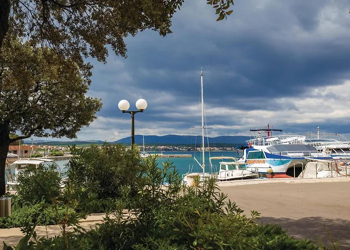 Pet Friendly In Zidarici Apartament *