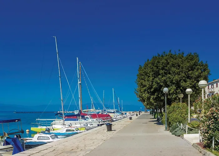 Pet Friendly In Zidarici Apartament Vantacici